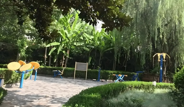 冯骥荐电影南京照相馆：没有抒情只有血的事实